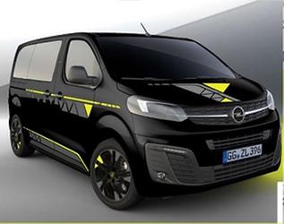 Decoraciones Adhesivas - Plata OPEL - 1684402780